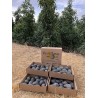 Aguacate Lamb Hass caja de 4Kg a 5,00 €/kg