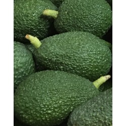 Aguacate Hass caja de 4kg a...