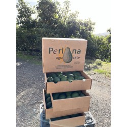 Aguacate Hass caja de 4kg a 6,00€/kg